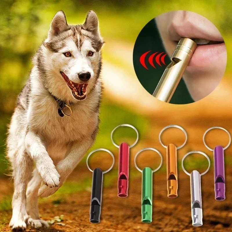 Gwizdek survivalowy - bezgwoźd – Emergency Whistle Pea recenzja i cena